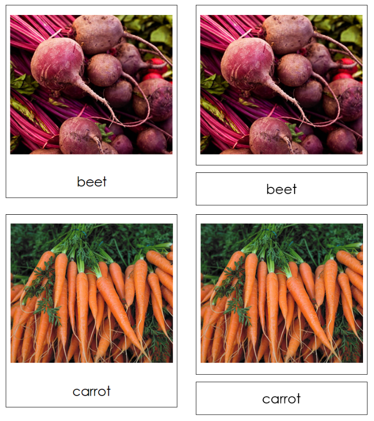 Types of Root Vegetables 3-Part Classified Cards - Montessori Print Shop Digital Download