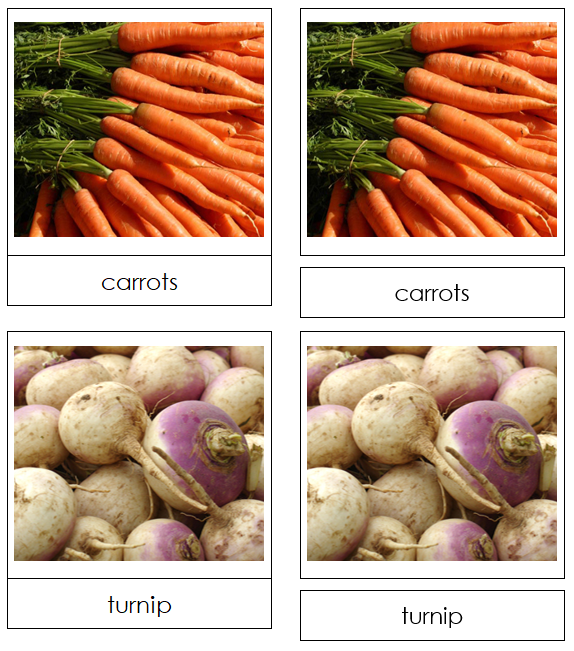 Root Vegetable Picture Cards - Montessori Print Shop
