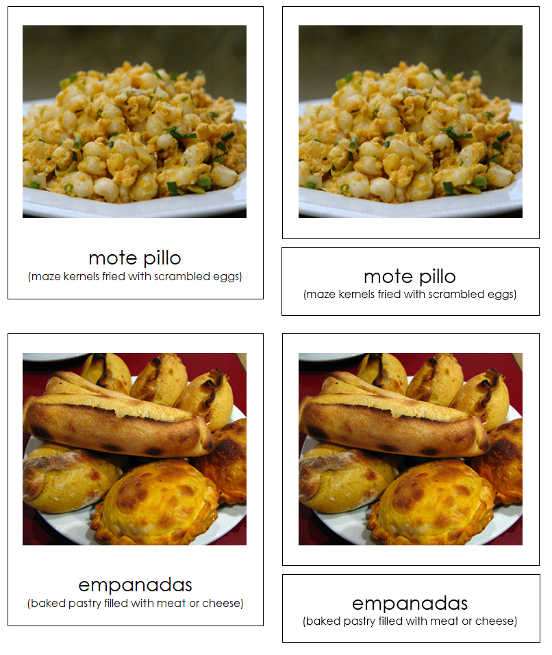 Foods of South America 3-Part Cards by Montessori Print Shop