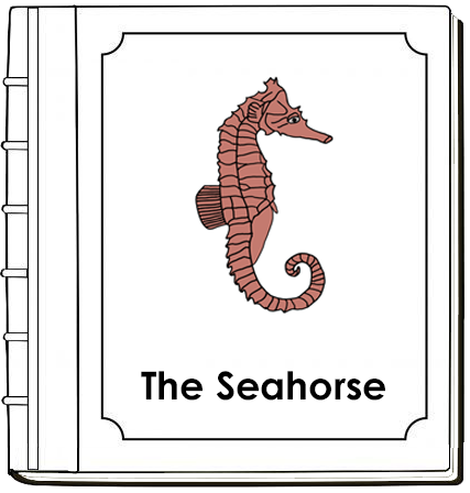 Parts of a Seahorse Nomenclature Book (red) - Montessori Print Shop Digital Download