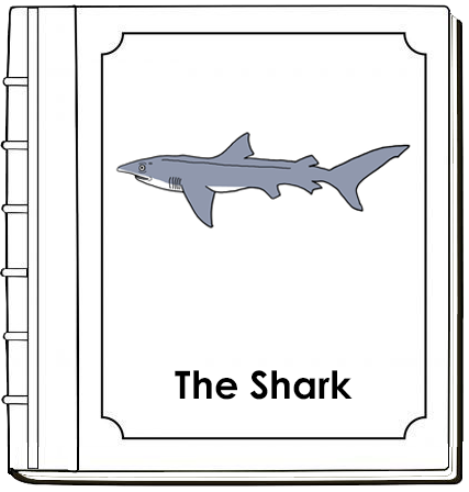 Parts of a Shark Nomenclature Book (red) - Montessori Print Shop Digital Download