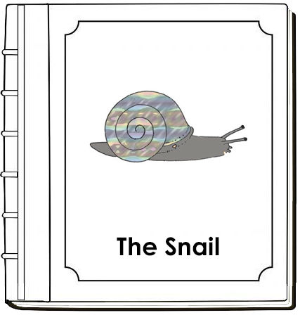 Parts of a Snail Nomenclature Book (red) - Montessori Print Shop Digital Download