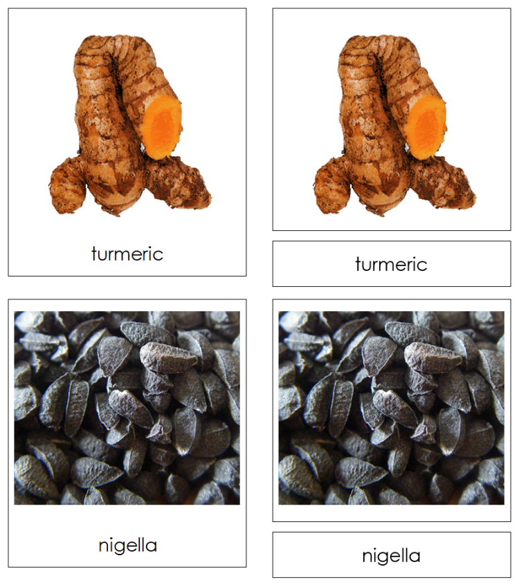 Types of Spices 3-Part Classified Cards - Montessori Print Shop Digital Download