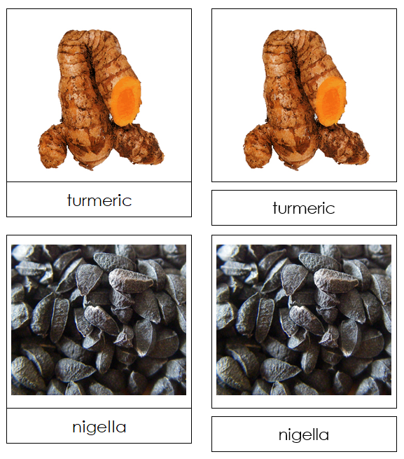 Spice Picture Cards - Montessori Print Shop
