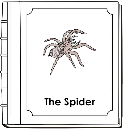 Parts of a Spider Nomenclature Book (red) - Montessori Print Shop Digital Download