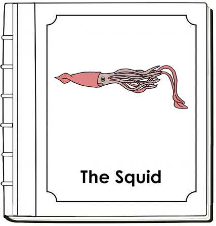 Parts of a Squid Nomenclature Book (red) - Montessori Print Shop Digital Download