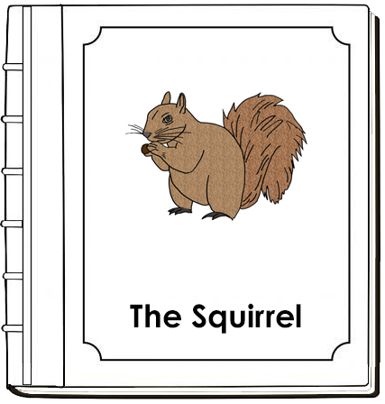 Parts of a Squirrel Nomenclature Book (red) - Montessori Print Shop Digital Download