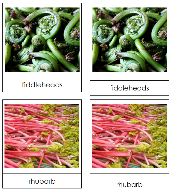 Stalk Vegetable Picture Cards - Montessori Print Shop