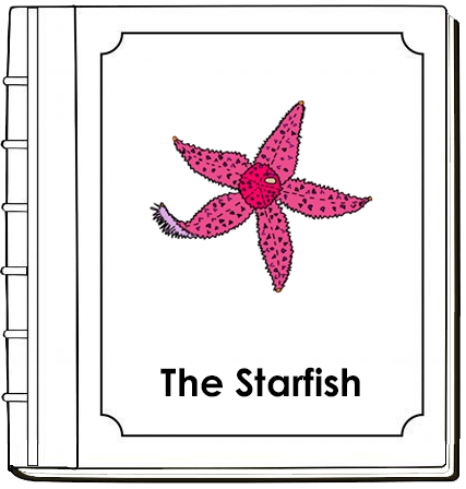 Parts of a Starfish Nomenclature Book (red) - Montessori Print Shop Digital Download