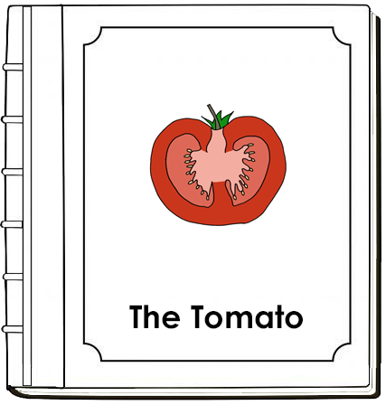 Parts of a Tomato Nomenclature Book - Montessori Print Shop Digital Download