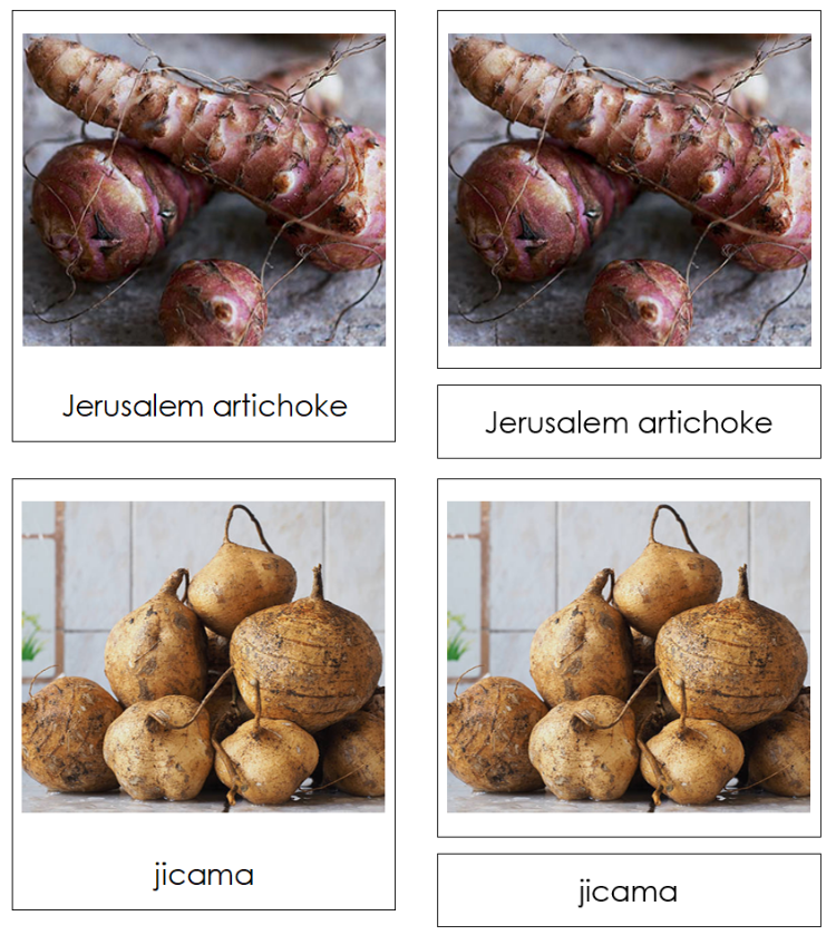 Types of Tuber Vegetables 3-Part Classified Cards - Montessori Print Shop Digital Download