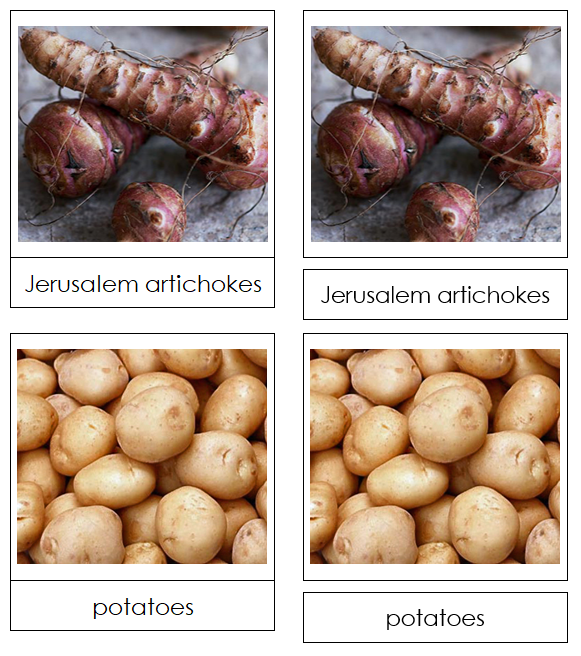 Tuber Vegetable Picture Cards - Montessori Print Shop