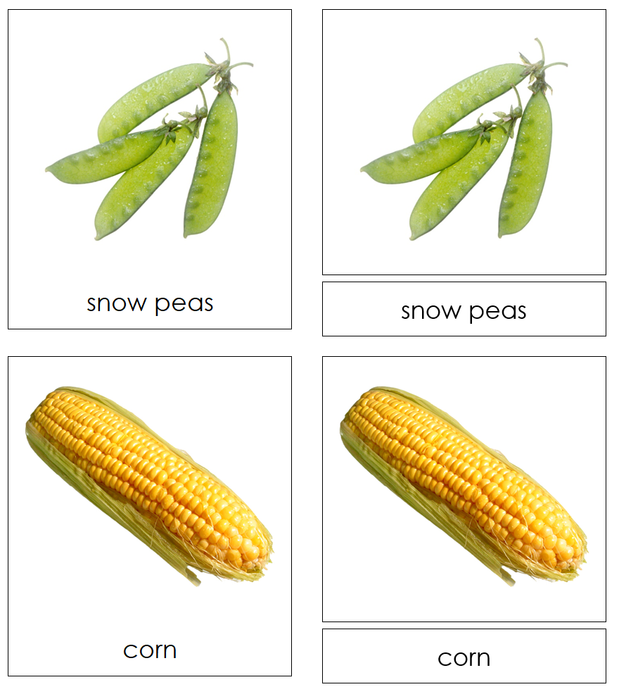 Types of Vegetables 3-Part Cards by Montessori Print Shop