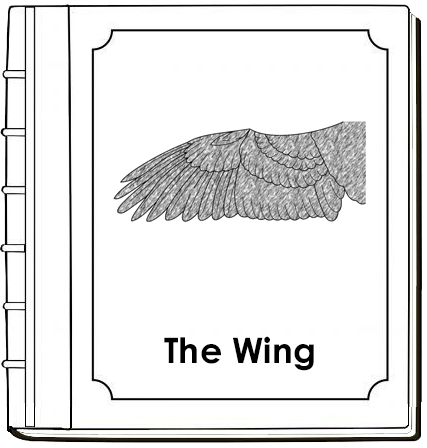 Eagle Wing Nomenclature Book (red) - Montessori Print Shop Digital Download