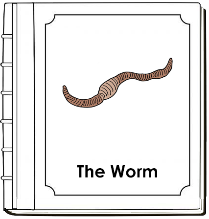 Parts of a Worm Nomenclature Book (red) - Montessori Print Shop Digital Download
