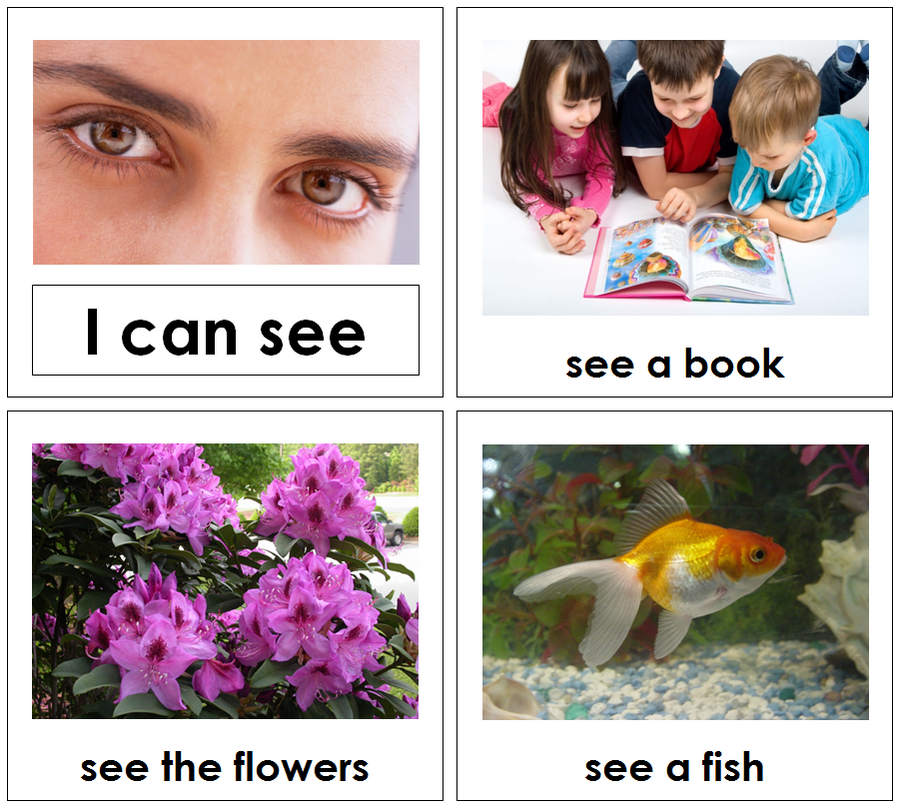 The Five Senses Book - Toddler - Montessori Print Shop
