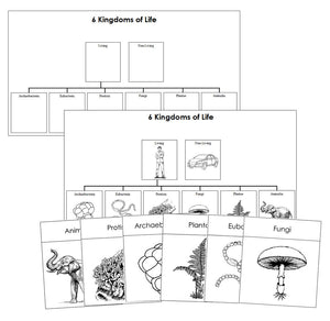 Six Kingdoms of Life Charts & Cards Blackline Masters - Montessori Print Shop