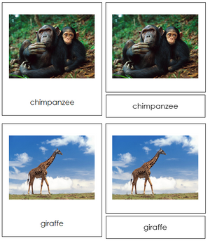 African Animal Cards - Montessori Print Shop Continent Studies