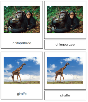 African Animal Cards - Montessori Print Shop continent study