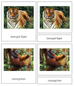 Asian Animal Cards - Montessori Print Shop Continent Studies