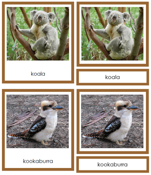 Animals of Australia/Oceania 3-Part Cards - Montessori Print Shop continent study
