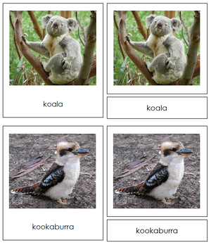 Australian/Oceanian Animals - Montessori Print Shop continent study