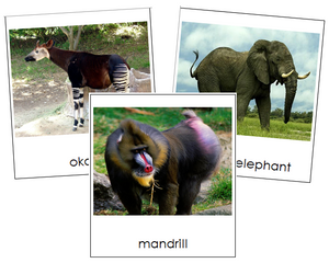 African Rainforest Animals - Montessori Print Shop