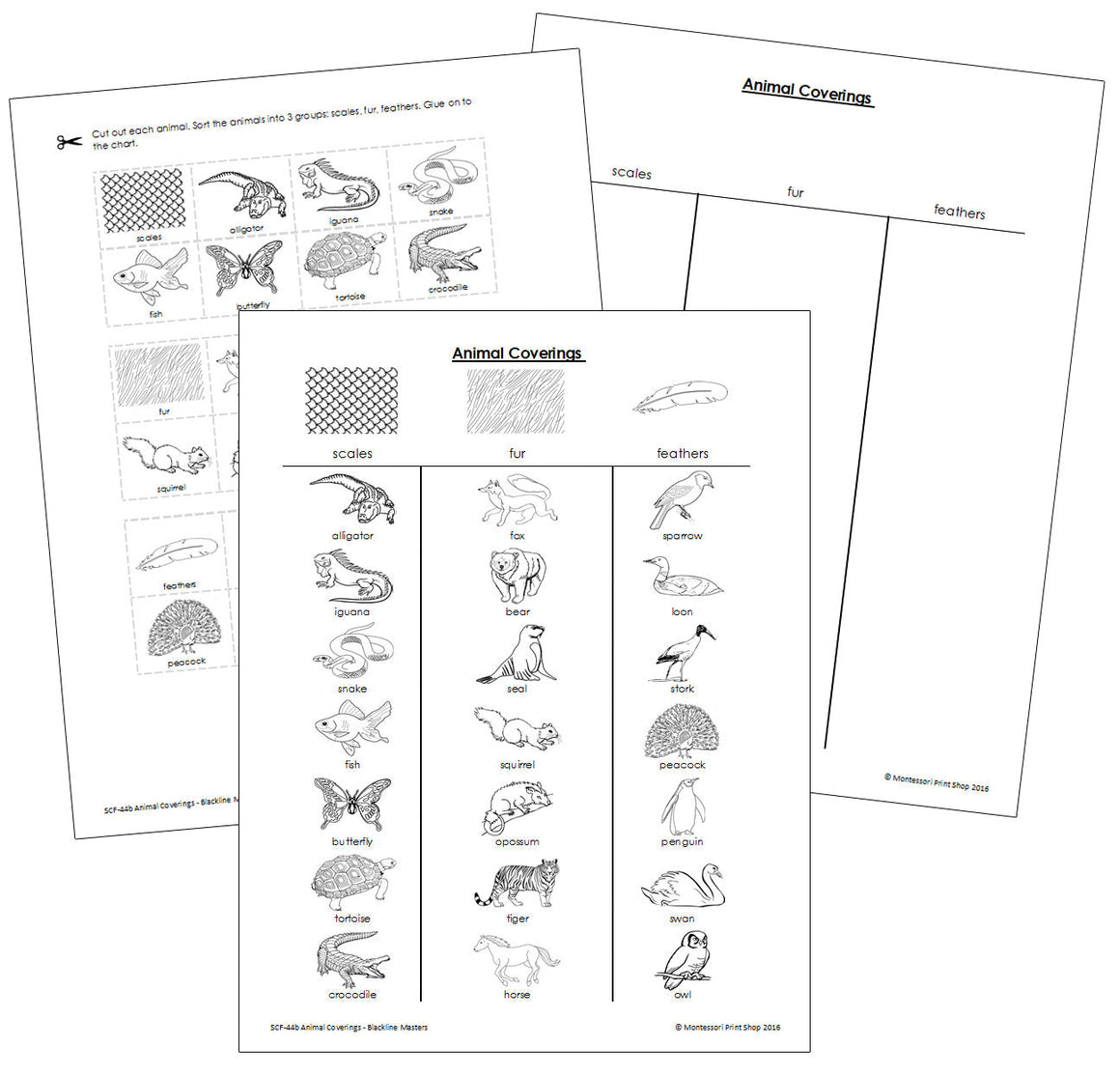 Animal Coverings Blackline Masters - Montessori Print Shop
