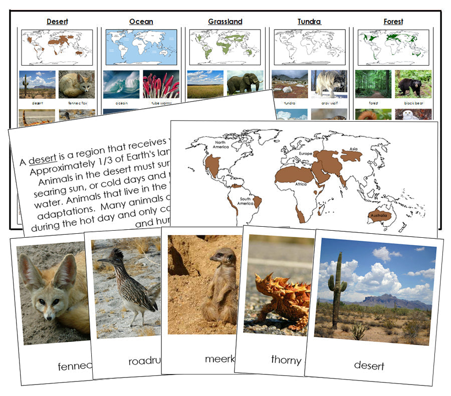 Animals And Their Habitats - Montessori Print Shop zoology materials