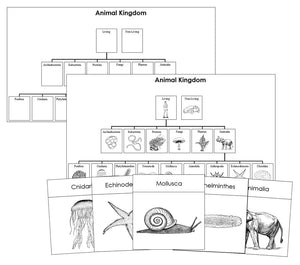 Animal Kingdom Charts and Cards Blackline Masters - Montessori Print Shop 