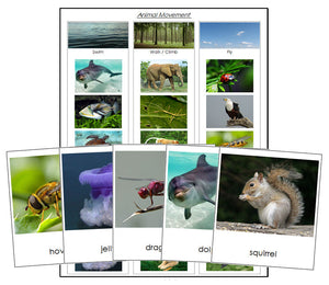 Animal Movement (Swim, Walk, Fly) - Montessori Print Shop Zoology printables.