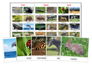 Animal Skin: Stripes, Spots, Solid - Montessori Print Shop zoology file