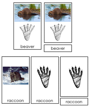Animal Tracks - Printable Montessori Zoology Materials