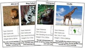 Animals of Africa - Montessori zoology cards