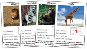 Animals of Africa Information Cards - Montessori Print Shop