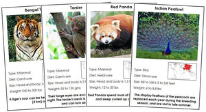 Animals of Asia Information Cards - Montessori Print Shop