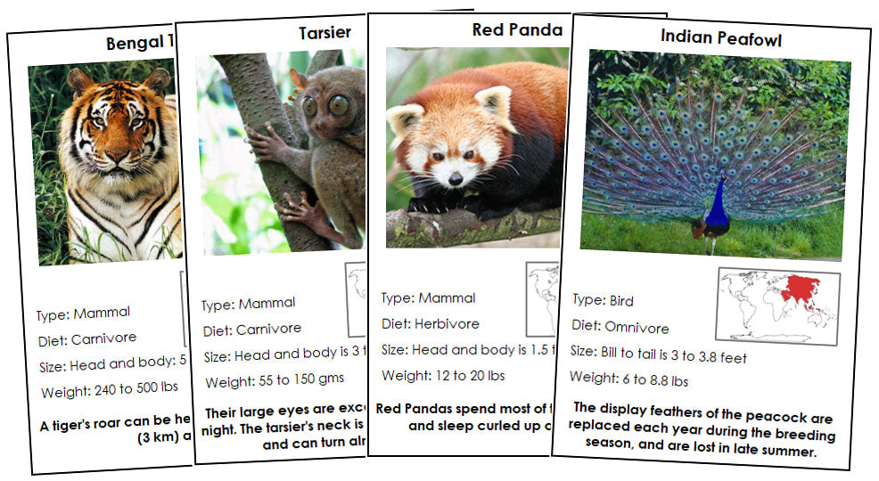 Animals of Asia - Montessori zoology cards