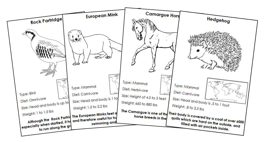 Animals of Europe Information Blackline Masters - Montessori Print Shop