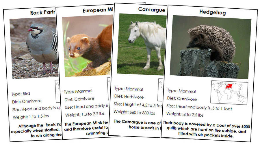 Animals of Europe (color-coded) - Montessori Print Shop