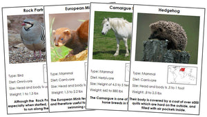 Animals of Europe - Montessori zoology cards