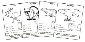 Animals of North America Information Cards Blackline Master Bundle - Montessori Print Shop