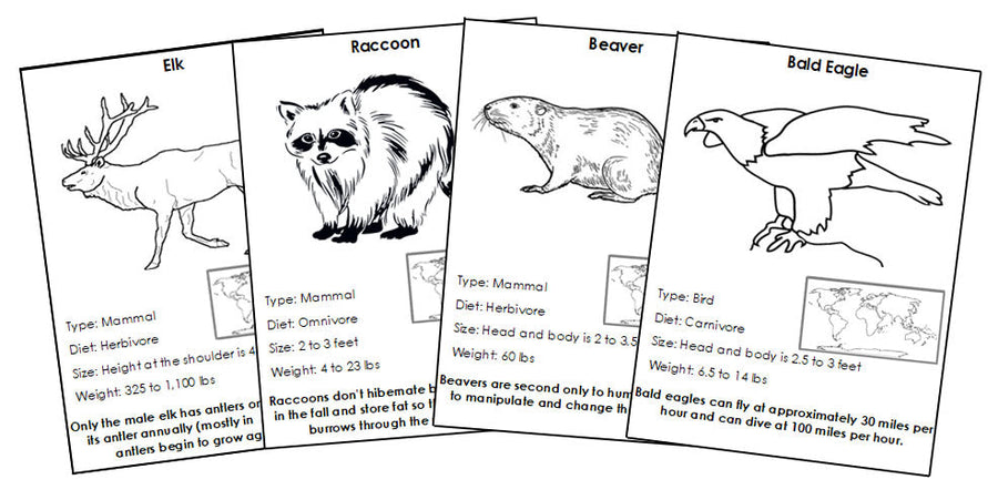 Animals of North America Information Blackline Masters - Montessori Print Shop