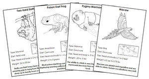 Animals of South America Information Cards Blackline Master Bundle - Montessori Print Shop