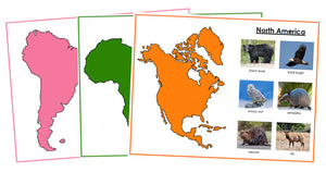Animals of the Continents Set 2 (color-coded) - Montessori Print Shop