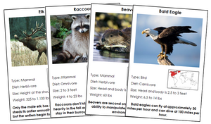Animals of North America - Montessori Print Shop zoology cards