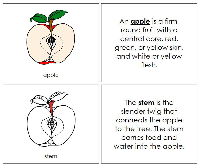 Apple Nomenclature Book (red) - Montessori Print Shop