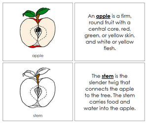Apple Nomenclature Book - Montessori Print Shop