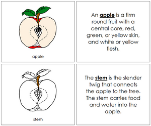 Apple Nomenclature Book - Montessori Print Shop