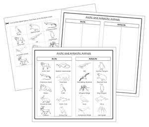 Arctic and Antarctic Animal Sorting Blackline Masters - Montessori Print Shop Science Activity