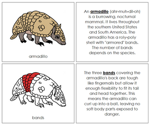 Parts of an Armadillo Nomenclature Book (red) - Montessori Print Shop